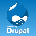 drupal-web-developer2 (9K)